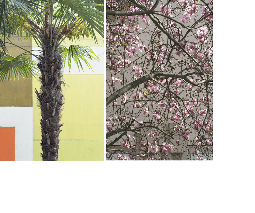 Epson presenta “Eden in Urbe”: Tancredi Mangano racconta il paradiso perduto nel Calendario Epson 2020 Epson presenta “Eden in Urbe”: Tancredi Mangano racconta il paradiso perduto nel Calendario Epson 2020
