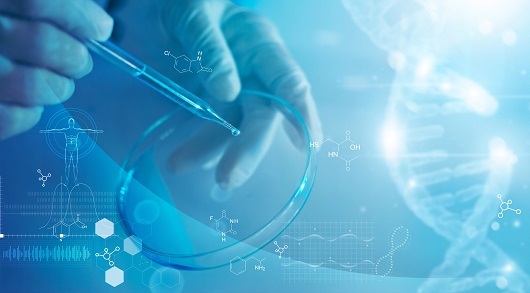 Tre grandi attori danno vita a un Centro Internazionale per la ricerca in meccanobiologia Tre grandi attori danno vita a un Centro Internazionale per la ricerca in meccanobiologia