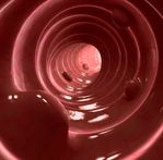 BIOMEDICALE – UN LABORATORIO IN UN CHIP BIOMEDICALE – UN LABORATORIO IN UN CHIP