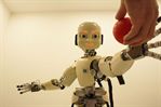 I cuscinetti del robot I cuscinetti del robot