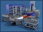 MANDELLI – anno 2013 MANDELLI – anno 2013
